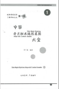 民间秘术宝藏《民间奇方秘术绝技高招大全》512页 电子版