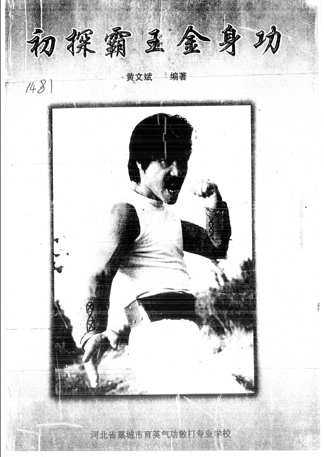 空手门内功 初探霸王金身功 56页 电子版