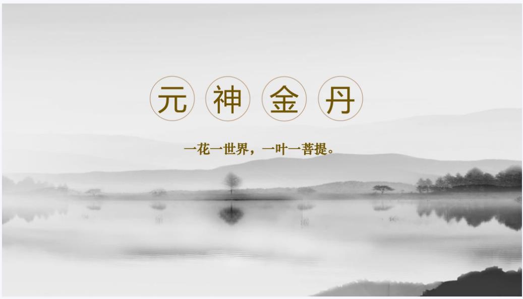 元神金丹修炼法视频加文档电子版