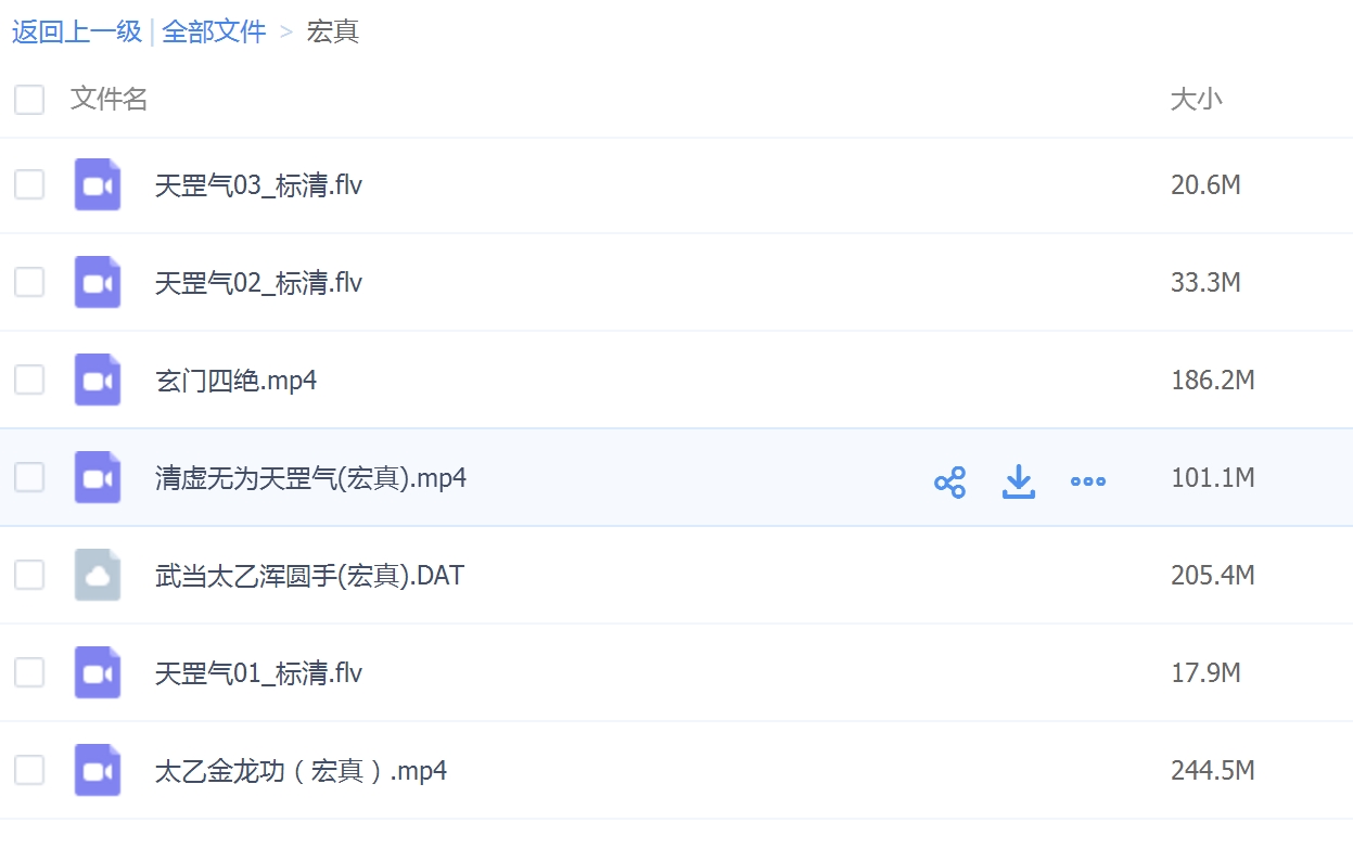 宏真《武当太乙金龙功》天罡气、玄门四绝、太乙浑圆手等视频