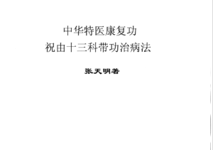 张天明祝由十三科 带功治病法 带功修练法 特医治病绝技3册电子版