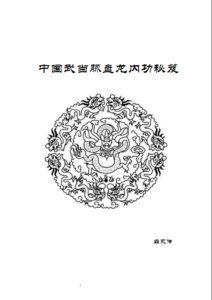 武当脉盘龙内功秘笈加视频电子版