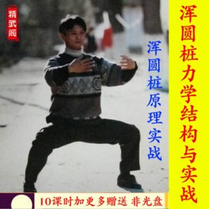 浑圆桩的力学结构与实战运用桩功浑圆桩原理等10课视频