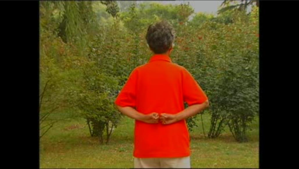 郭林新气功初级/中级/高级功10个视频