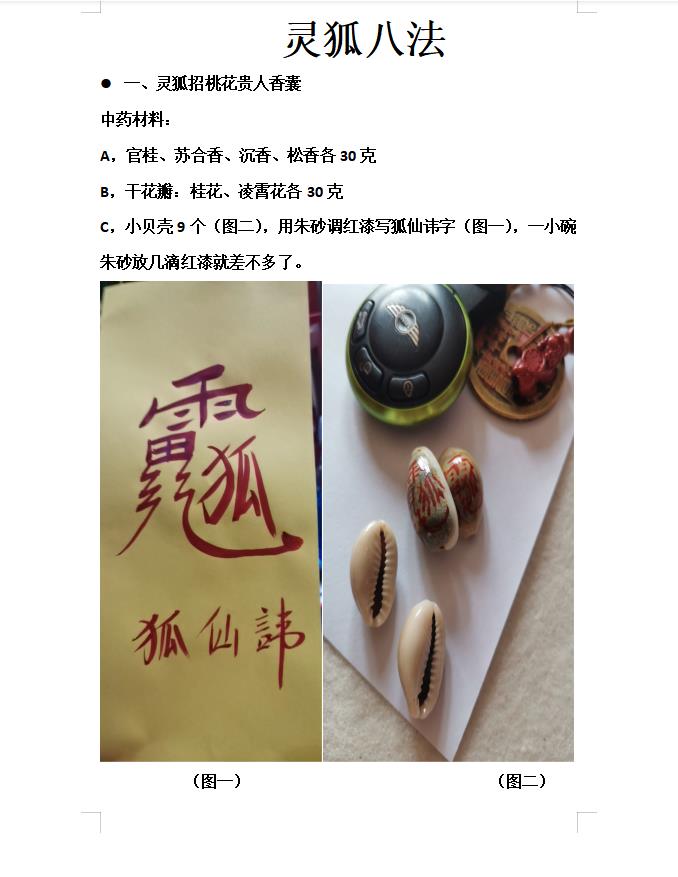 凤麟宗灵狐八法录音加笔记电子版