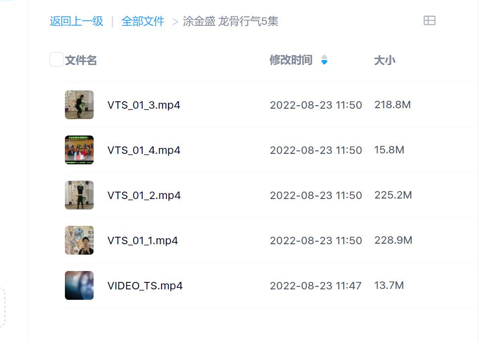 涂金盛龙骨行气5集视频