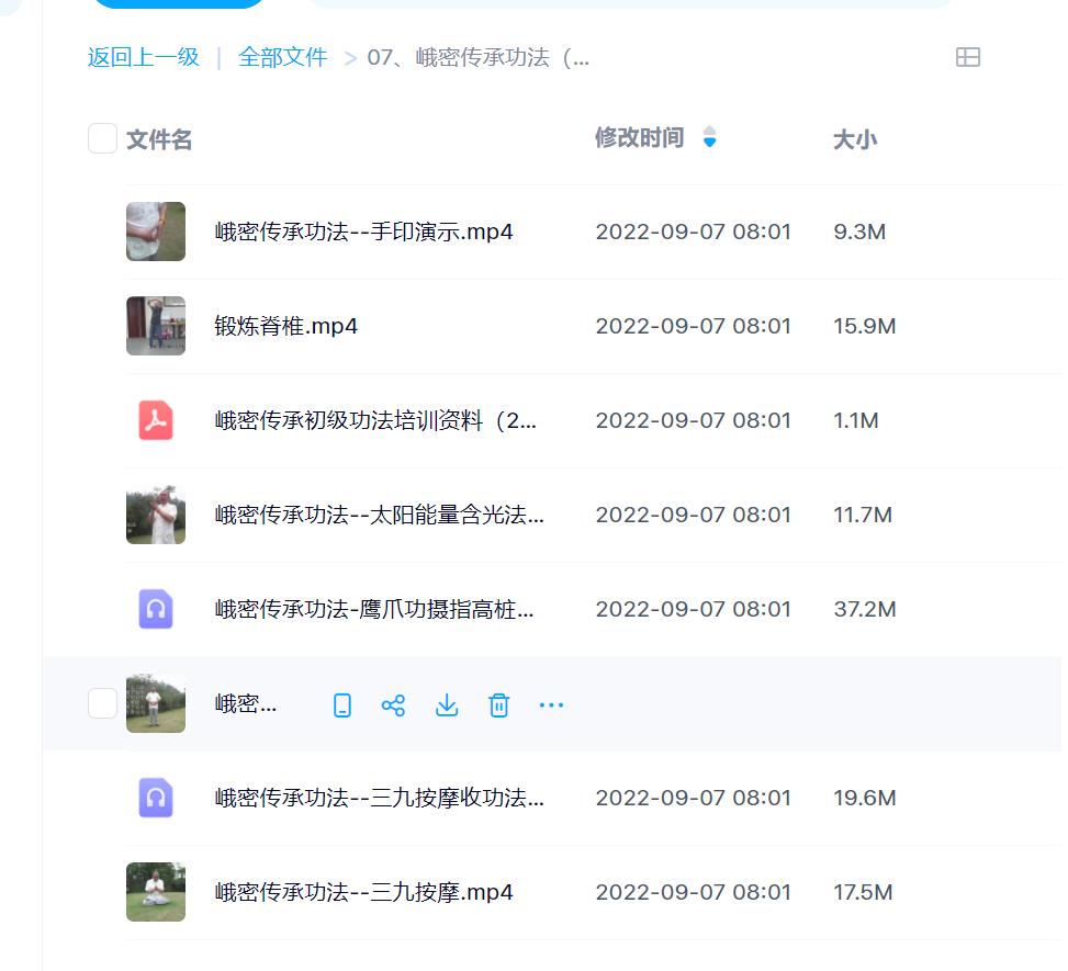 峨密传承功法视频加文档电子版