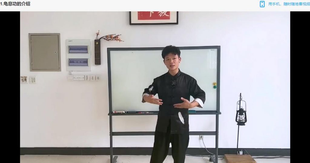 养打同练龟息功修炼视频