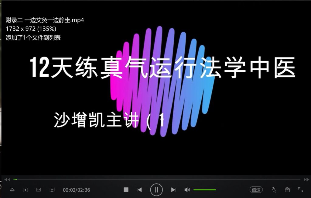 365天真气运行法2013加2019年合计53个视频