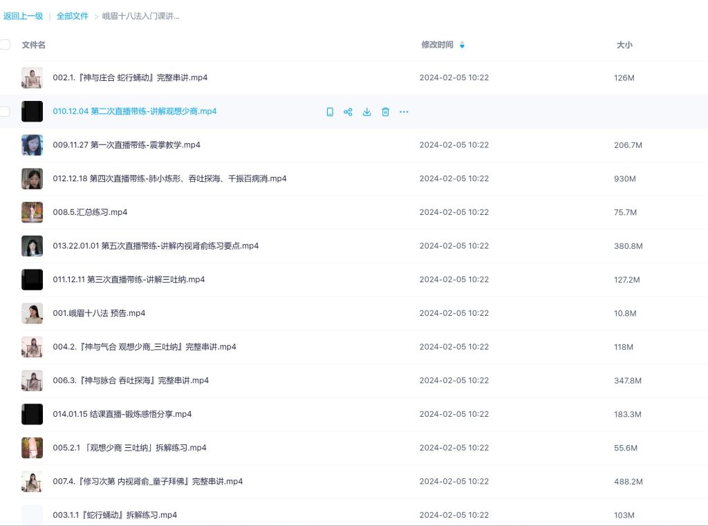 峨眉十八法入门课讲解视频