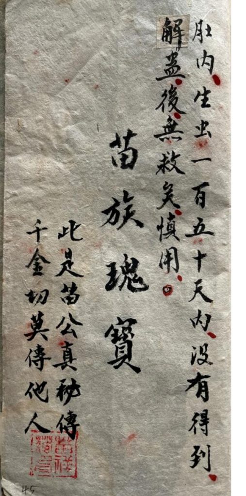 苗医古籍《苗族药功秘传》45页电子版