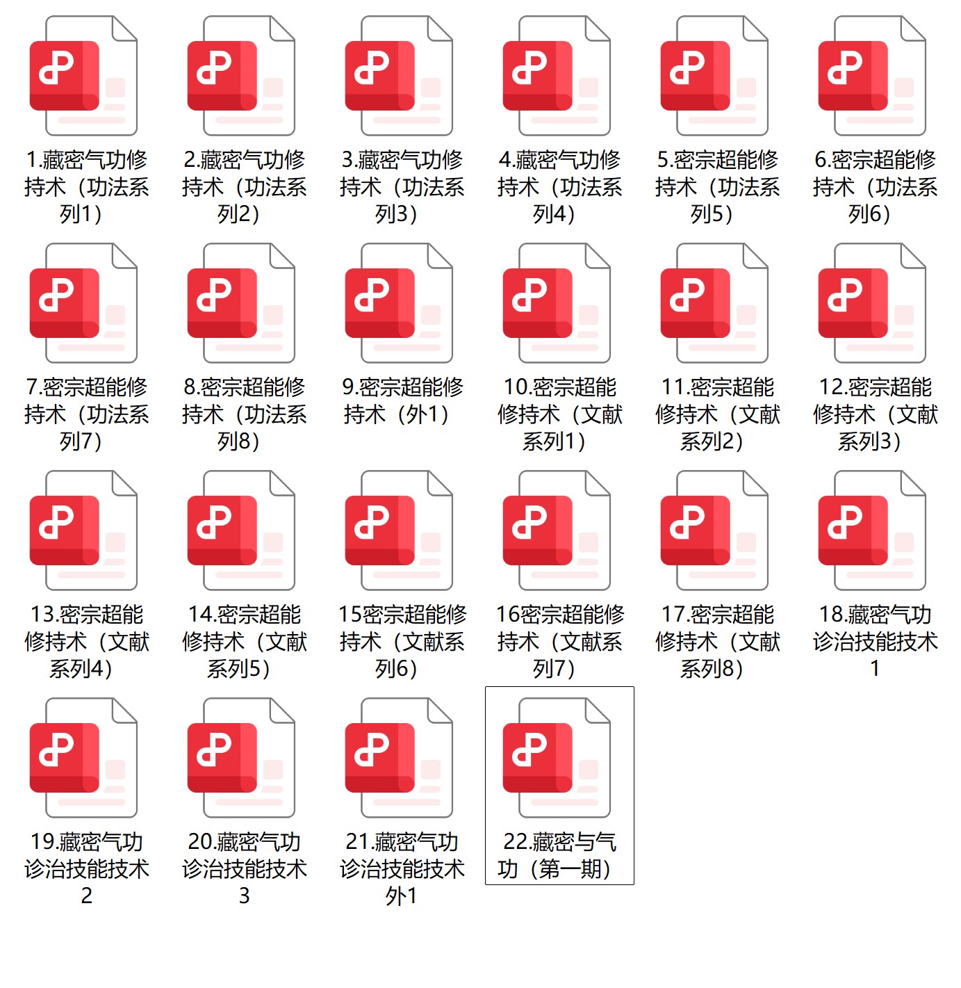 藏密气功修持术22册电子版