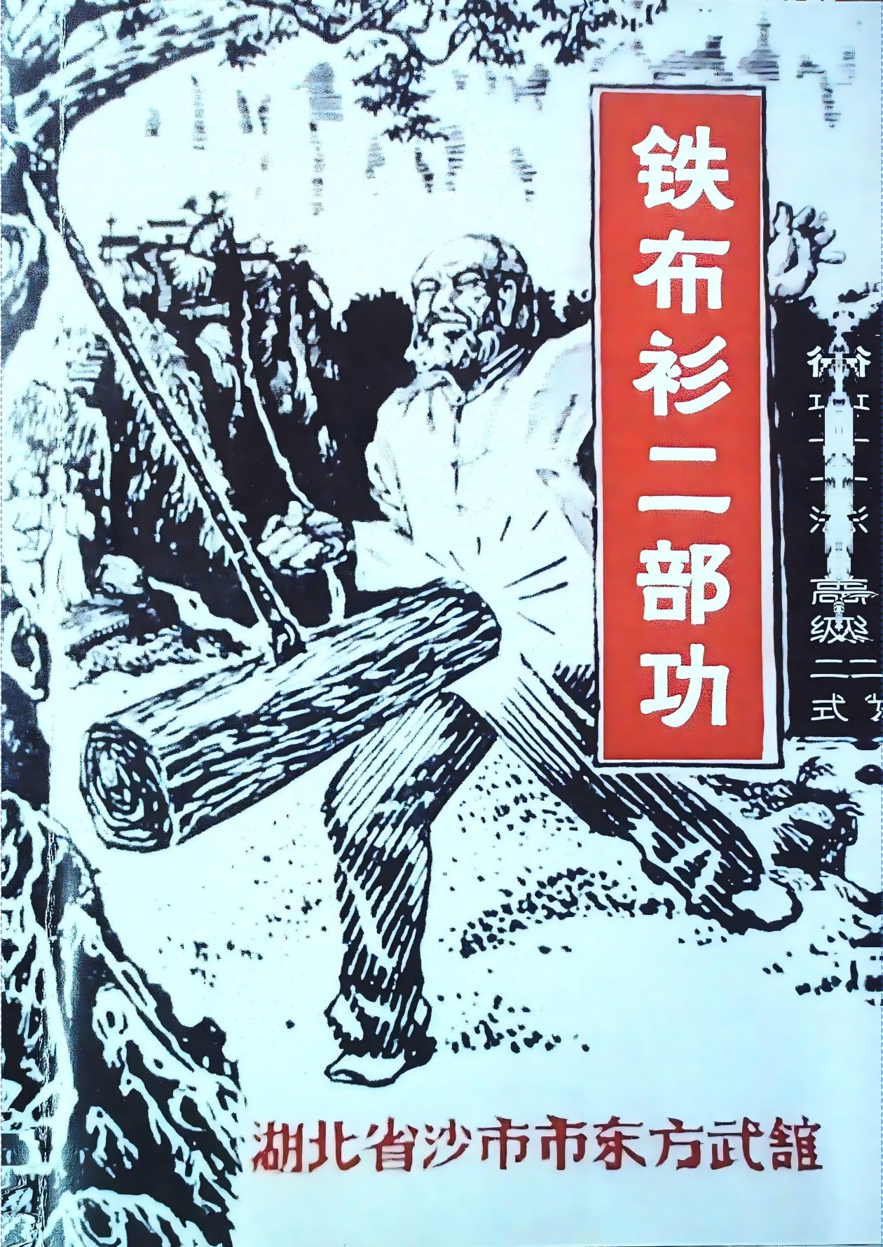 铁布衫二部功行功十一法高级二式68页电子版