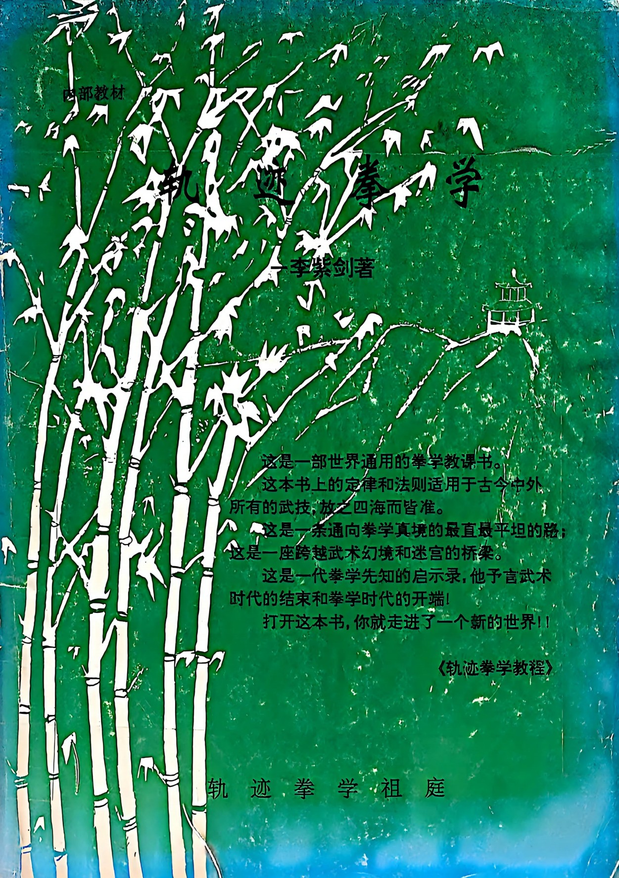 独家制作轨迹拳学内部教材187页电子版